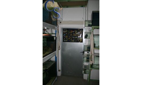 Zuchtraum
